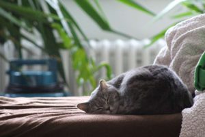 relaxing status