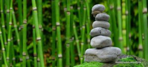 Qigong blogs