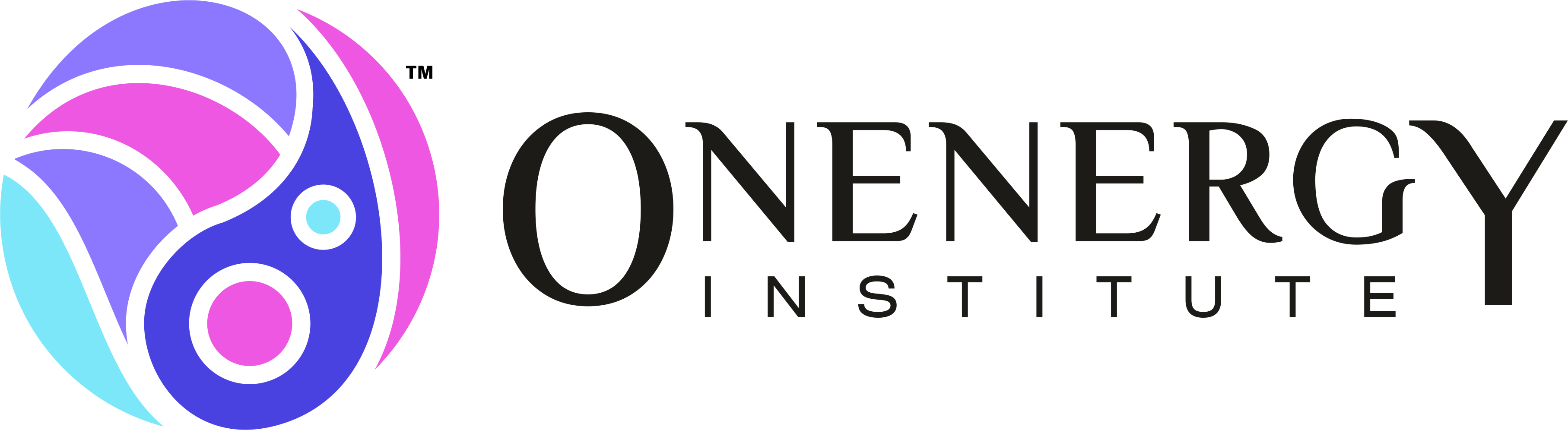 Onenergy Institute