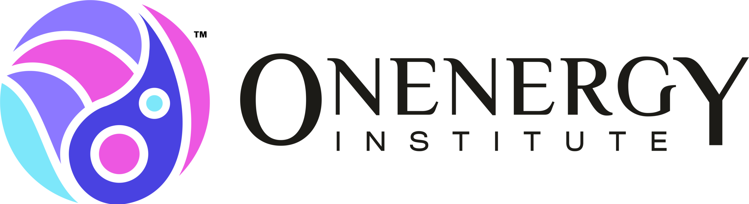 Onenergy Institute