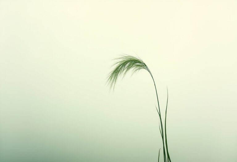 Why I bend over when I laugh — chest and belly rejoin | Onenergy qigong